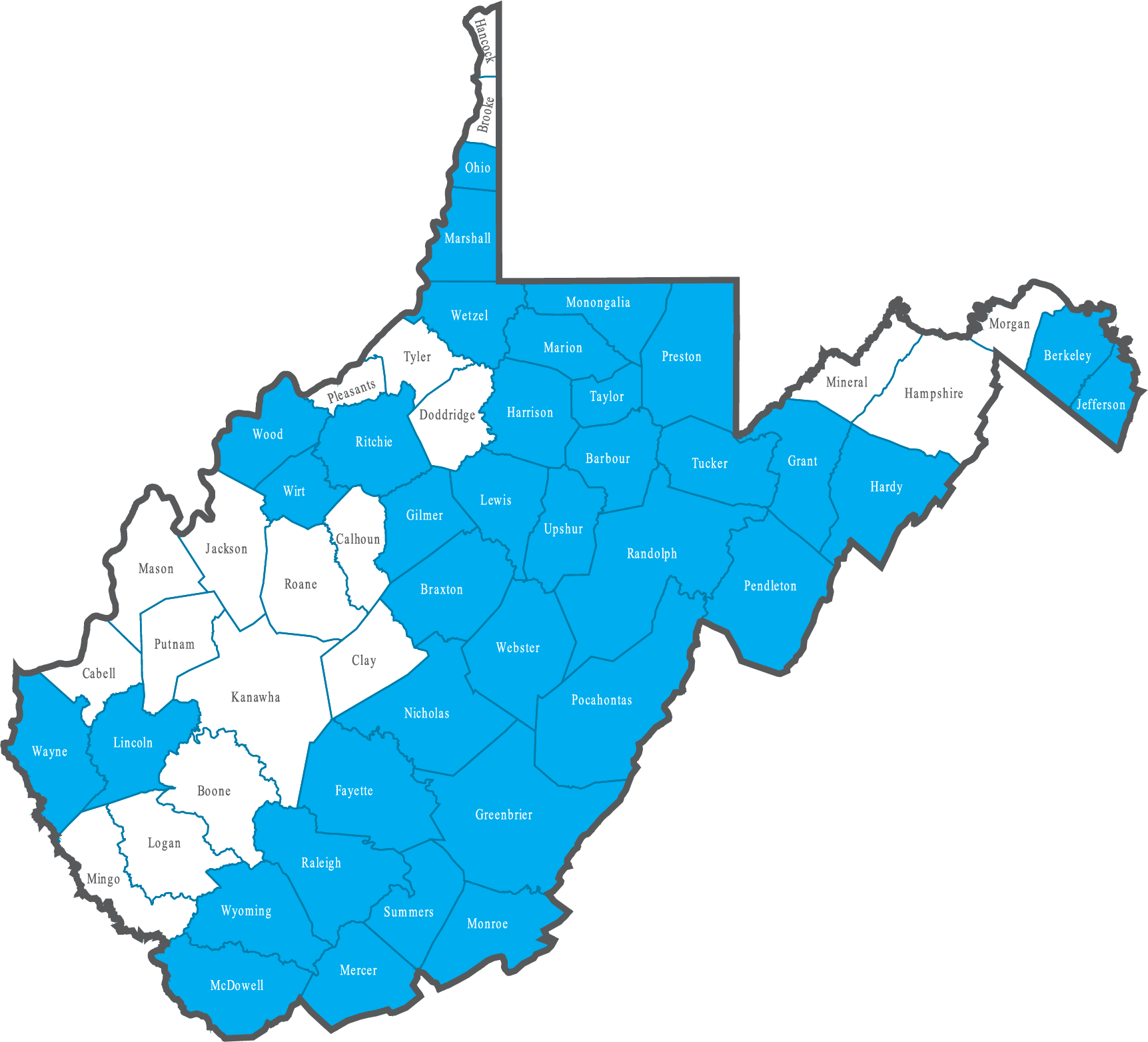 Members of the IWHRAWV Provide Service in 36 Counties Across the State